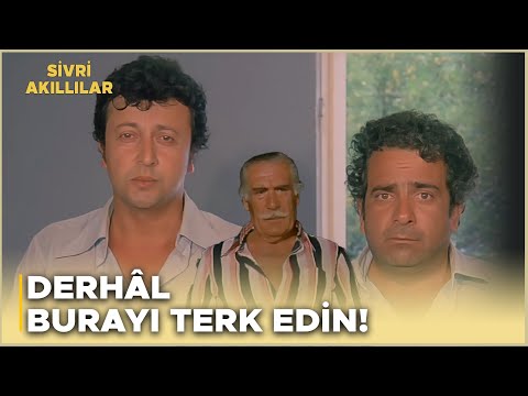 Sivri Akıllılar Türk Filmi | Oteldeki Hırsızlıktan Sonra Zeki ile Metin İşten Kovuluyor!
