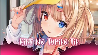 Nightcore - kimi no toriko tik  (Rizky Modeong Remix)