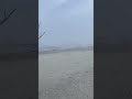 Driftwood Beach