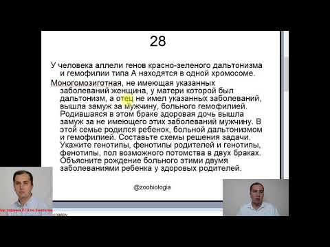 Разбор задания 28 ЕГЭ по биологии 2021. Моногомозигота кроссинговер гемофилия дальтонизм