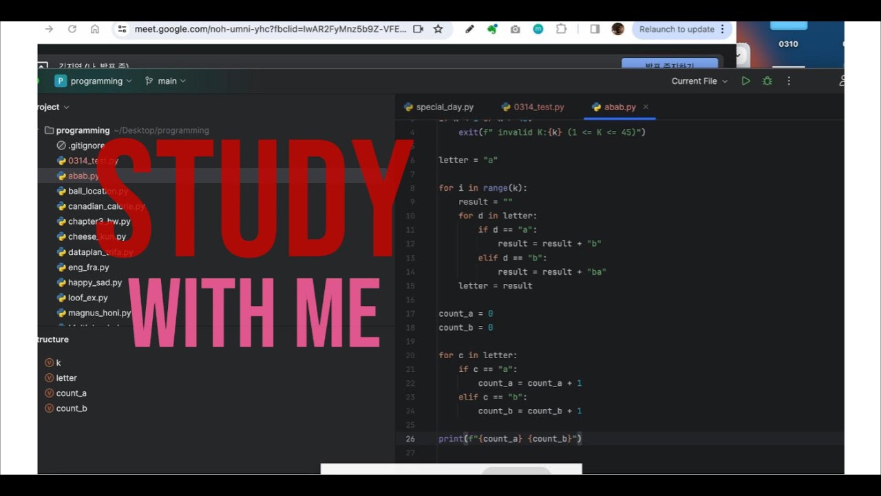 [study with me]20-03-2024 / raindrop / fireplace / 프로그래밍공부 / 코딩 / 파이썬 ...