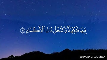 من سورة الرحمن - الشيخ ياسر سرحان الديب