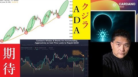 【隠居Vlog】カルダノ創設者「大きなものが来る」ADA