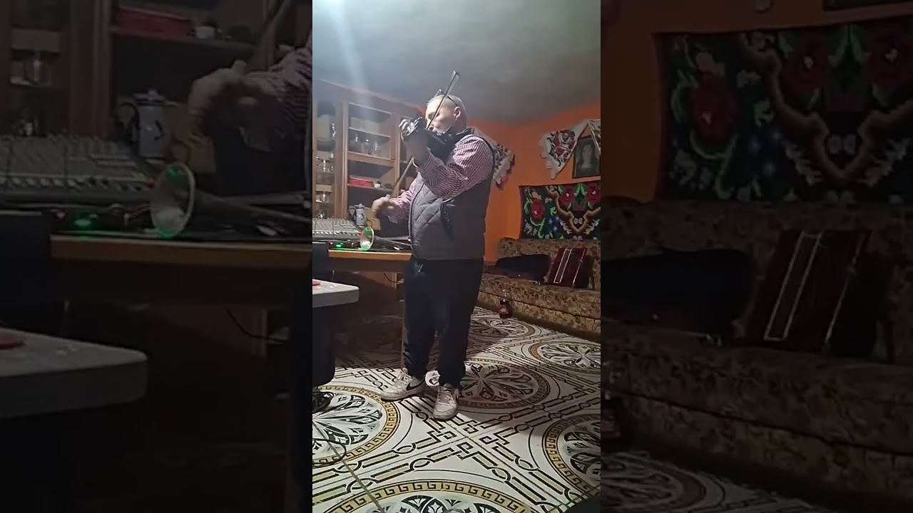 robin vioristul din dobresti polca 2026