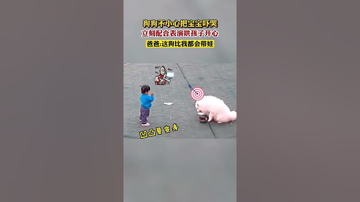 狗狗不小心把寶寶嚇哭，立刻配合表演哄孩子開心 #狗狗成精了 #人生如戲全靠演技 #奧斯卡欠你一個小金人