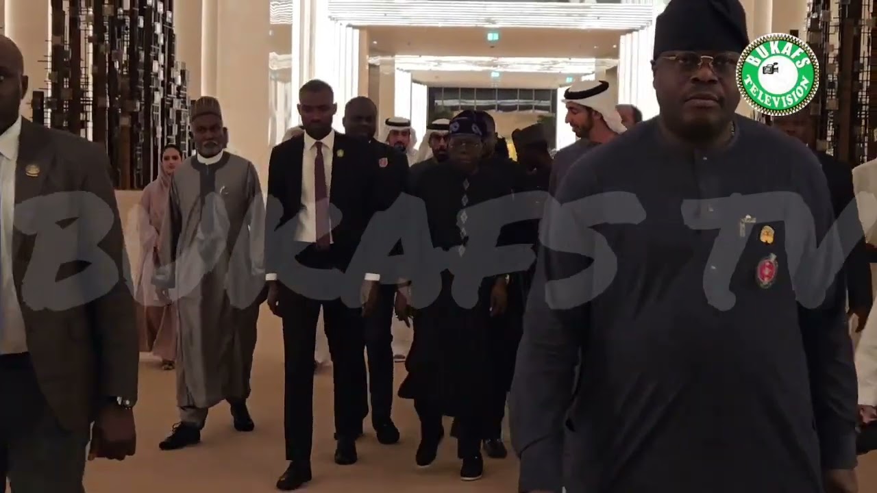 President Tinubu Targets Renewable Energy Partnerships in UAE