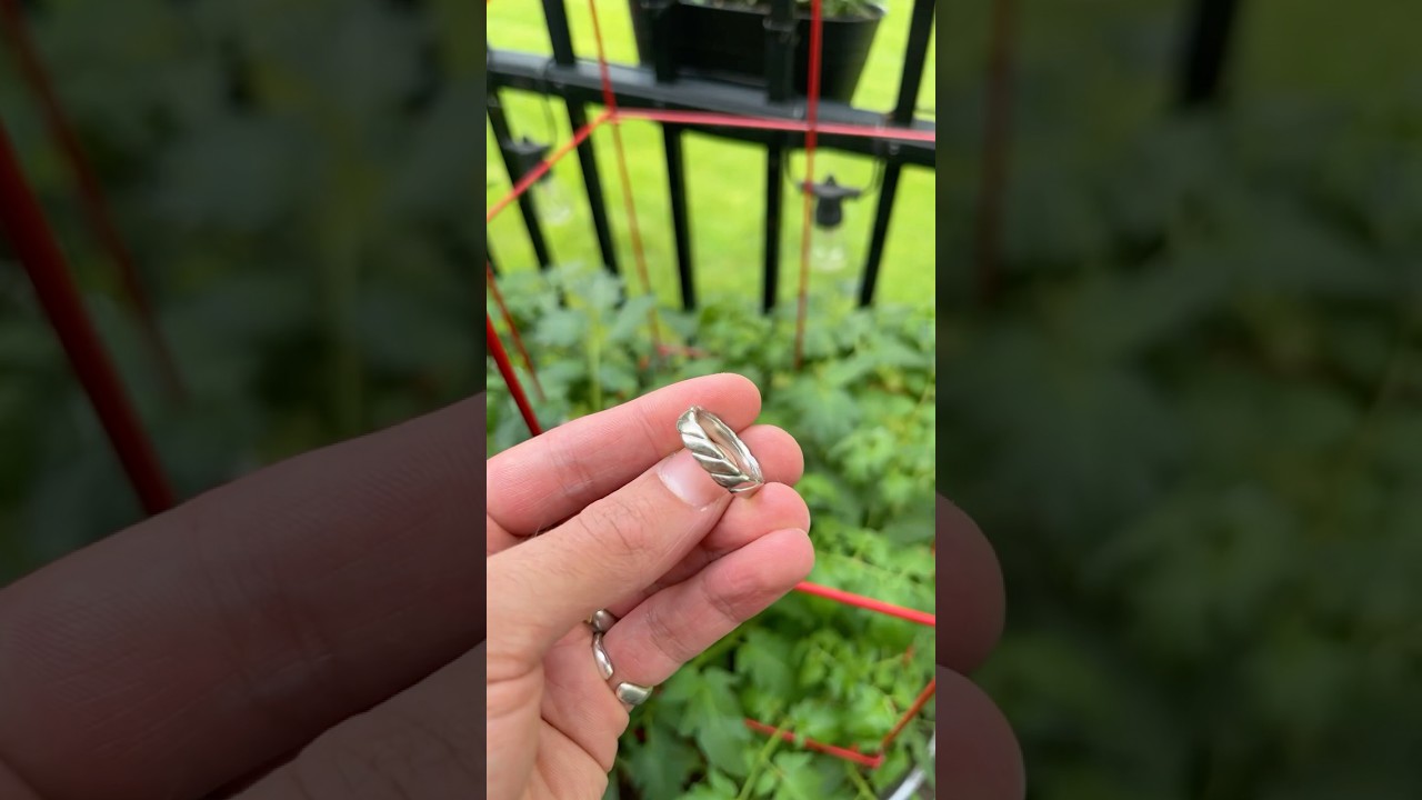 Mene Pure Platinum Rope Ring