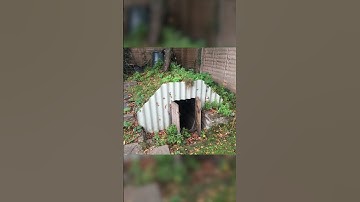 Simple Nuclear Fallout Shelter/ Bunker Option