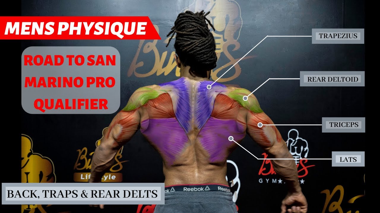 The Ultimate BACK WORKOUT | Build WIDE and THICK BACK FAST (High-Volume) The Ultimate BACK WORKOUT | Build WIDE and THICK BACK FAST (High-Volume)
