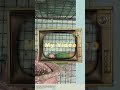 Lovebird Short | My Video