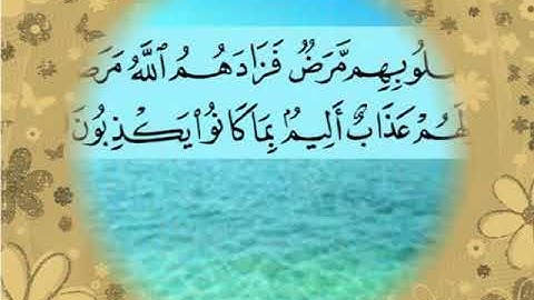 سورة البقرة اية ١٠ جمال القرش