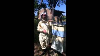 Introduction to Beekeeping - Part 1 (HD).wmv
