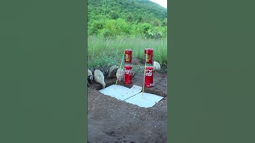Simple, easy, best quail trap #shorts #create #traps