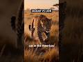 WHAT IF THE JAGUAR ENTERED SAVANNA#Wildlife #Nature #AnimalFacts #shorts #NatureDocumentary