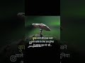 #positivethoughts # Motivational story # motivational video# , motivation song