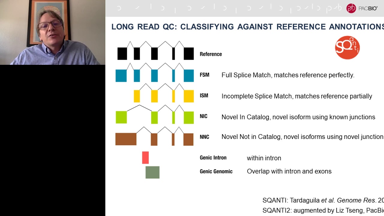 Single cell gene expression: new insights through the lens of full length mRNA isoform resolution