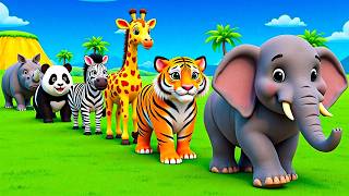 Long Slide Game With Cow Elephant Gorilla Hippopotamus Tiger 3d Animal Game Funny 3d Animals screenshot 4