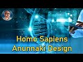Homo sapiens by anunnaki design  paul wallis