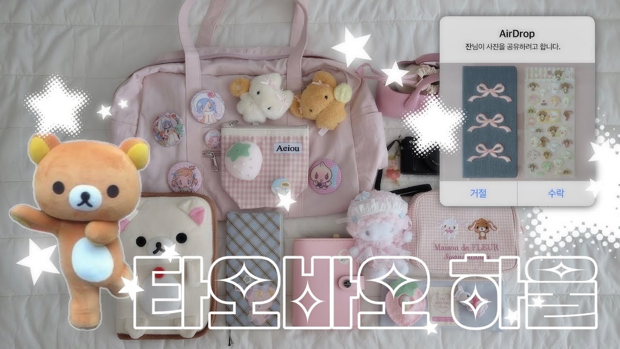 쉽겟 타오바오 하울 👼🏻 l 핑크 보부상 가방 추천 · 2025 킨보르 윅스 다이어리 · 스티커 (슈가바니즈, 선원버드, 루카와즈) · 다꾸 짐 싸기