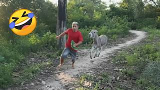 TRY NOT TO LAUGH 😆 Best Funny Videos Compilation 😂😁😆 Memes PART 257