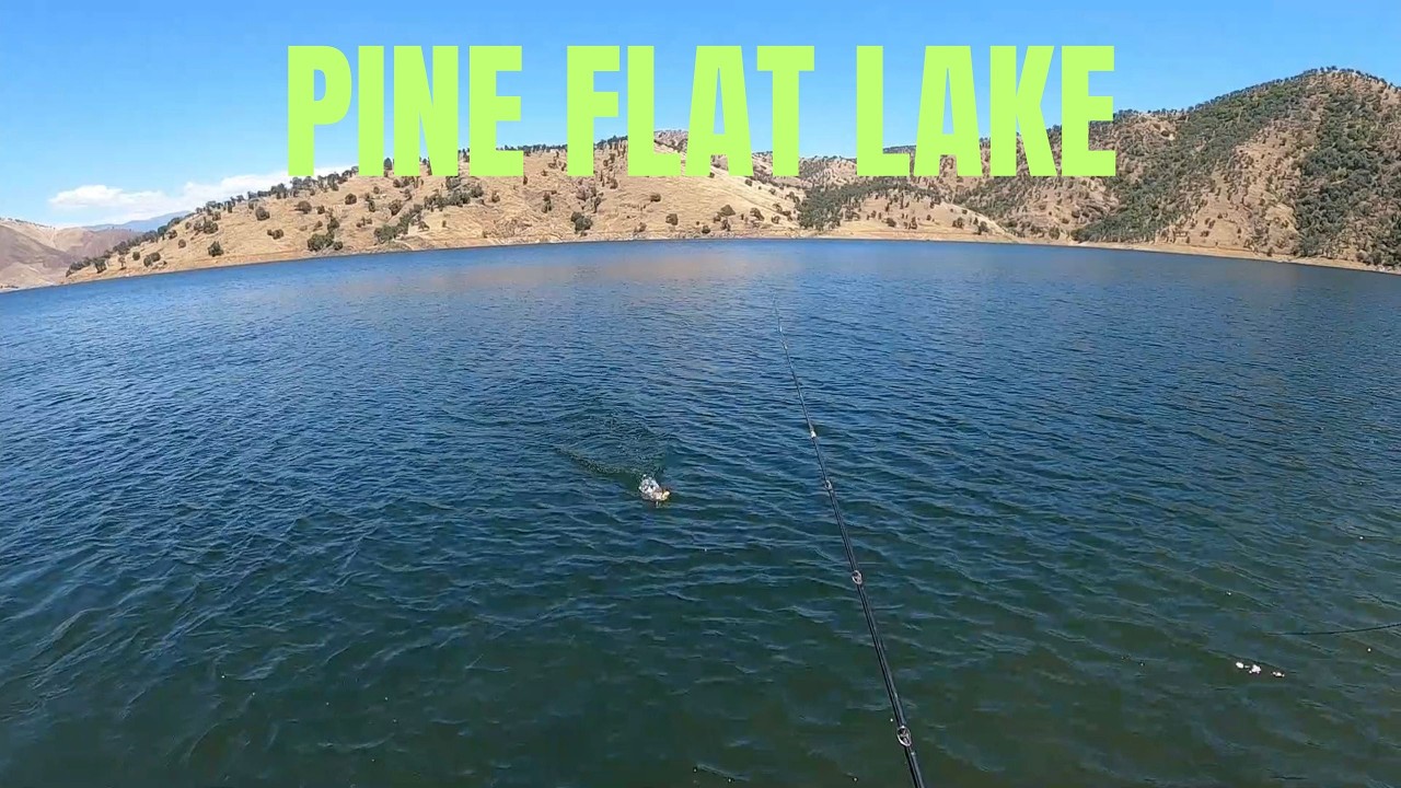 They are biting!!! (Action all day long!?)