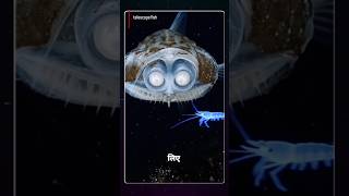 Real ALIEN Found in Deep Ocean? 🌊 Telescope Fish Explained in Hindi