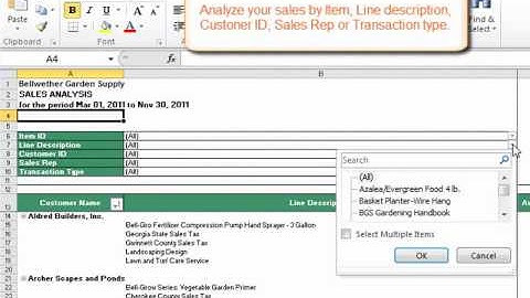 Sales Report Tutorial - Sage Peachtree Business Intelligence