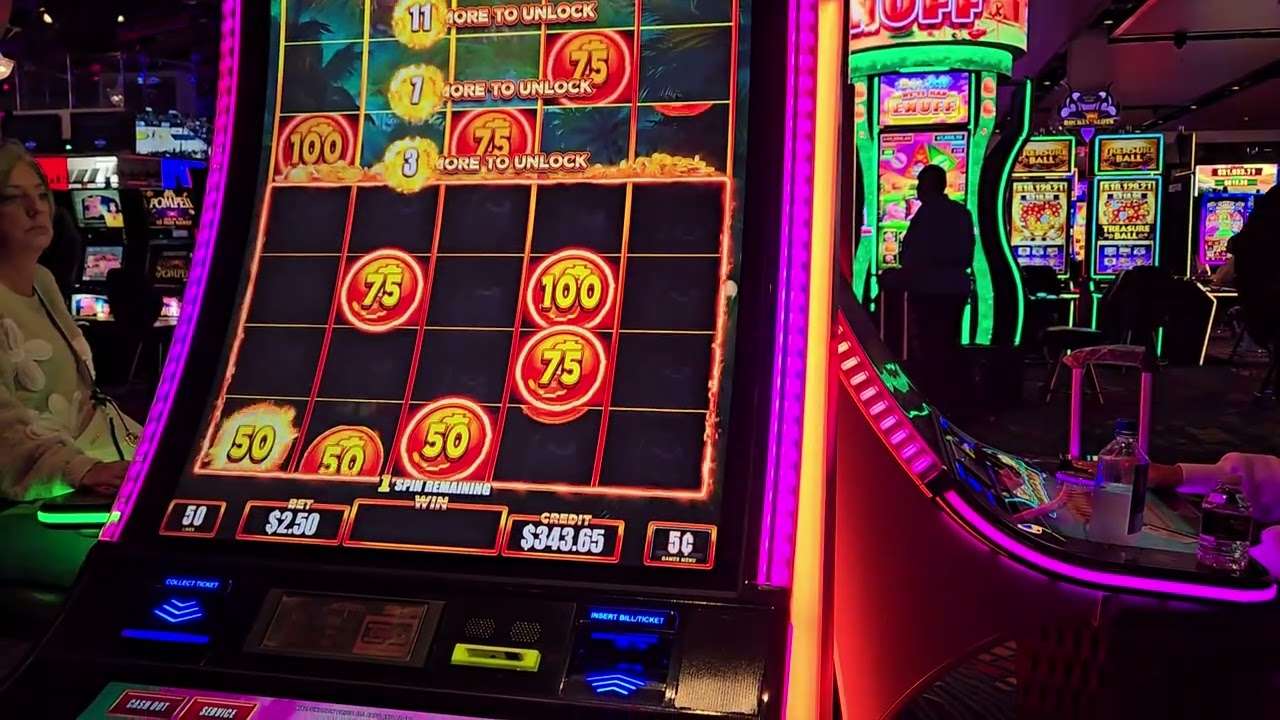 Buffalo king 🤴 went in the bonus on 5 cent 