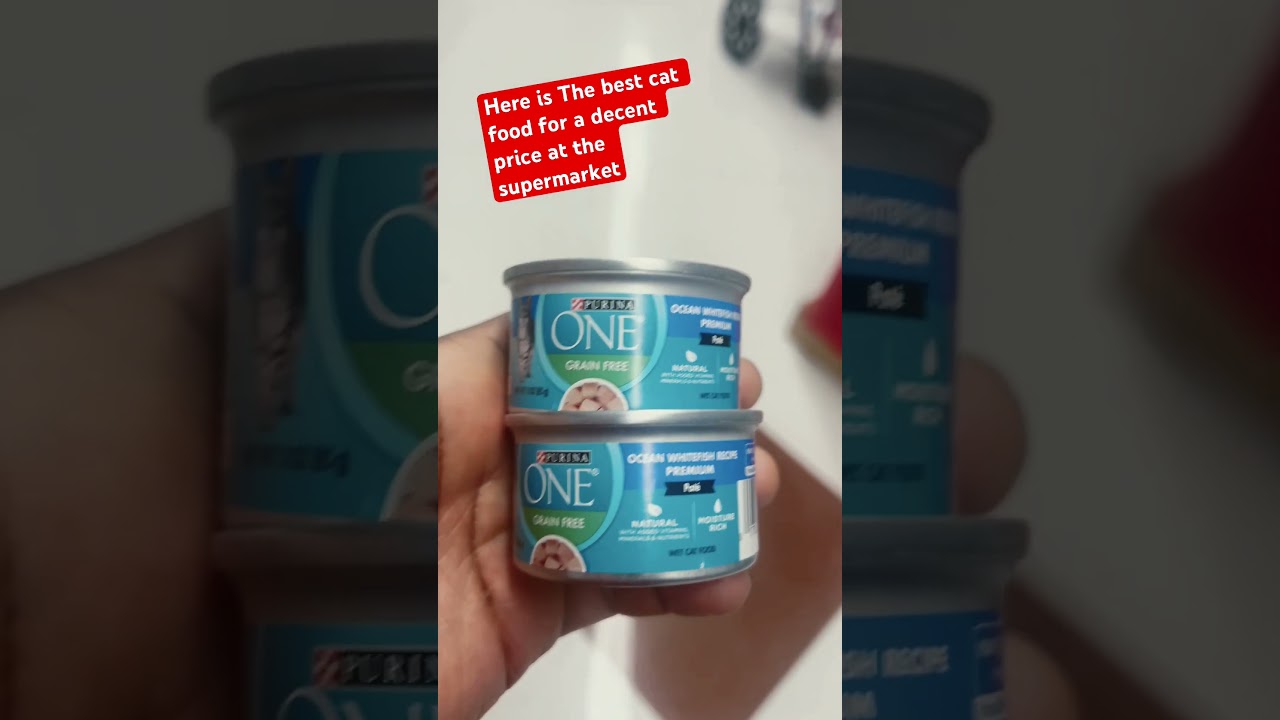 Best Cat Food at the Supermarket 