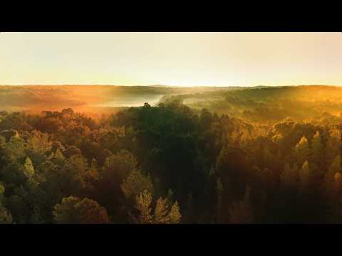 Shalem (with The Secret Place)