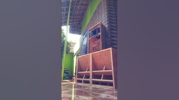 cek sound CLA miniaturan 12 inc dan T24 8 inc