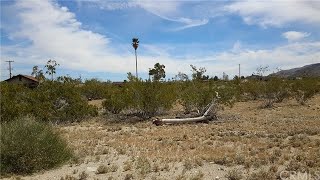 Property for sale - Saladin Avenue, 29 Palms, CA 92277
