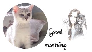 ❤️УТРО С ШОТЛАНДСКИМ КОТЁНКОМ❤️КОТЕНОК ФИНЯ ПОМОГАЕТ ЗАПРАВЛЯТЬ КРОВАТЬ❤️ ❤️УТРО С ШОТЛАНДСКИМ КОТЁНКОМ❤️КОТЕНОК ФИНЯ ПОМОГАЕТ ЗАПРАВЛЯТЬ КРОВАТЬ❤️