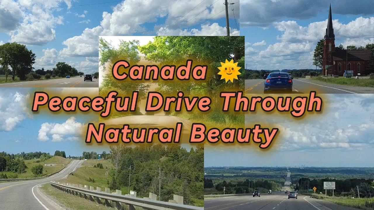 Ontario Summer Drive 🚗🌞  Nature, Sunlight & Canada’s Scenic Roads