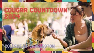 Unwind with Cougar Countdown