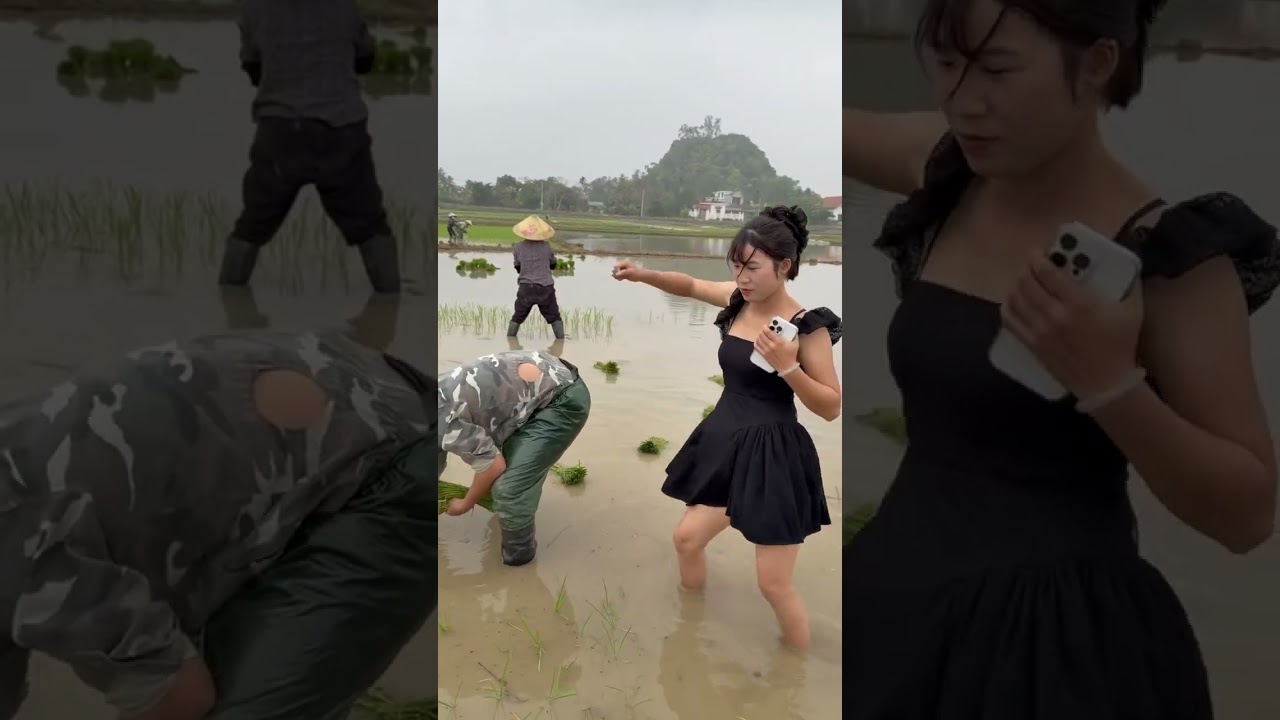 Con dâu 🍓🍓đi cấy  mặc váy và cái kết 😎|  ưng cái bụng 👍👍👍