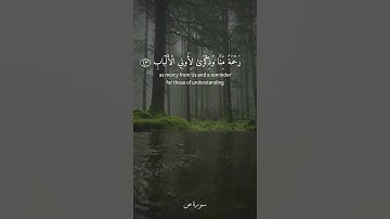 واذكر عبدنا أيوب إذ نادى ربه أني مسني الشيطان بنصب وعذاب [ ص: 41 - 44 ] القارئ ياسر الدوسري