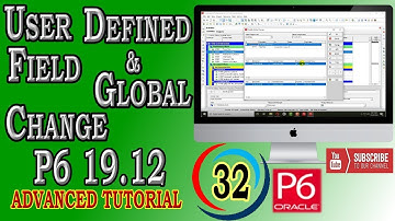 How to Create User Defined Field and Assign Global Changes | Primavera P6 |19.12| Advanced Tutorial