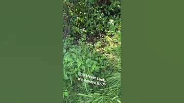 Enjoying A Natural Spring Not Far From Our New Homestead Godisgood Permaculture Spring Natural 