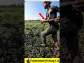 What fish did he find in the bamboo tube? 🐟#viralvideo #facts #fishinggear #fishinglife #fish