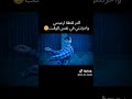 تصميم تيم تين تينا زاك اكتر لقطه ارعبتني تيم تين جيش تيم تين اكسبلور اشتراك 