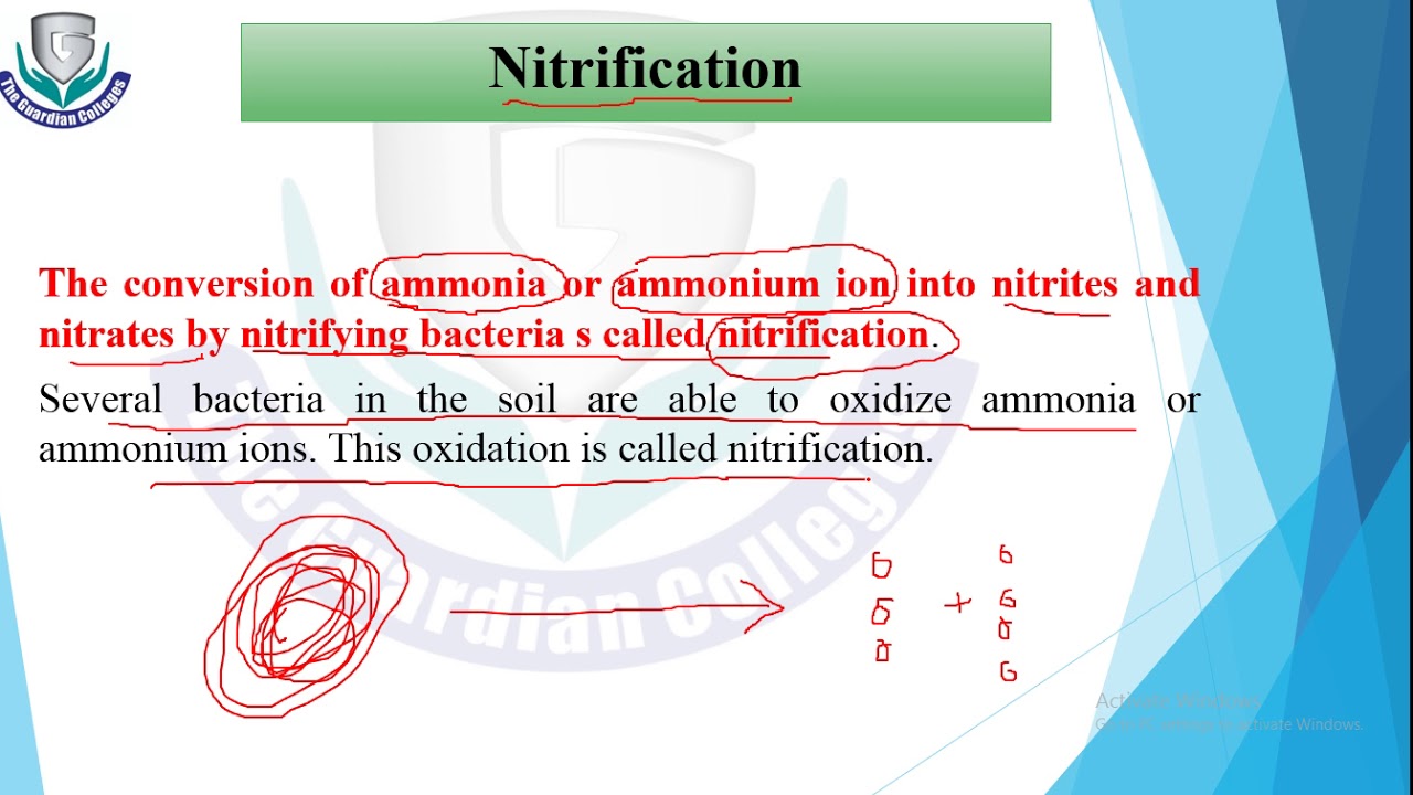 Lec# 12 Chap# 25 Biology 2nd Year, Biogeochemical Cycle - YouTube