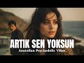 Artık Sen Yoksun Poizi Efsun Cover 