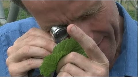 BioControl Introduction - Part 1 (English)