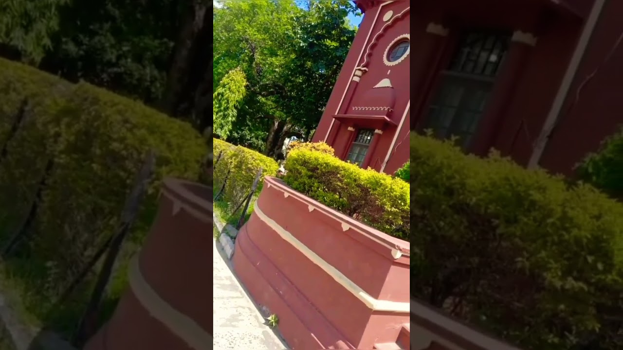 Beauty of Mithila bihar 💗💖🥰