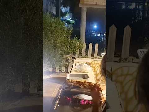 شوي القارورة و الجلانفيش فريش تامر السعيدي صيد  رابطة صيادين مدينتي