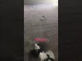 محمد الجبري Qatar محمد الجبري Qatar