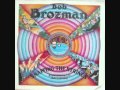 Bob Brozman - Sweet Georgia Brown