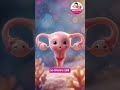 Sometimes ovaries just need a little extra support- Age, stress, hormones, or ovarian l Makhija IVF