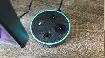 Alexa/Echo Notifying Me Of A Freeze Warning 4/8/25